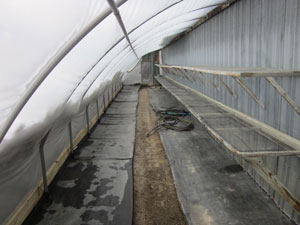 barn greenhouse cleaned and ready to load
