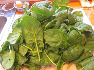 Fresh spinach from the garden.